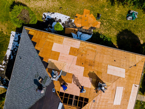 Best Roof Gutter Cleaning  in Kechi, KS